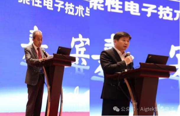 柔性電子技術與應用創(chuàng)新論壇